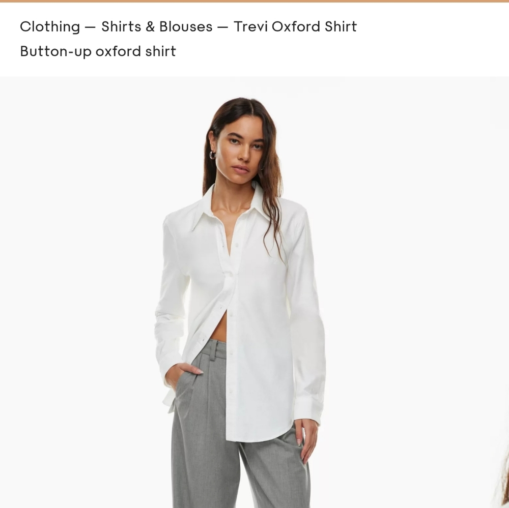Aritzia Trevi Oxford Button up Shirt